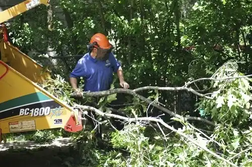 tree services Hatley